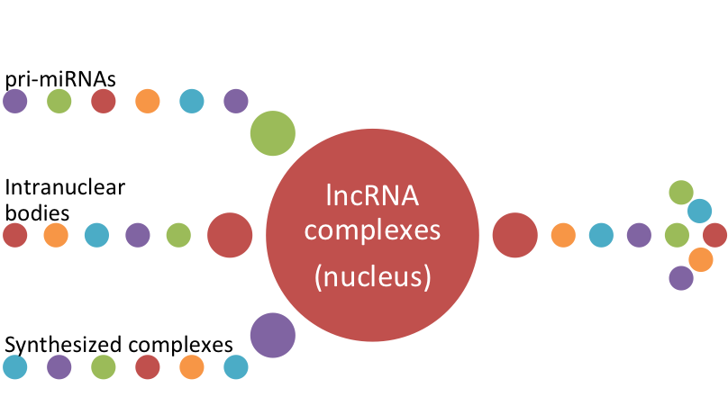Role of Long Noncoding RNAs in Breast Cancer: Are New Markers for the Cure?