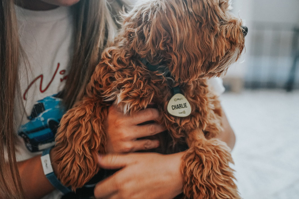 Woman holding a dog wearing a MyID pet ID tag