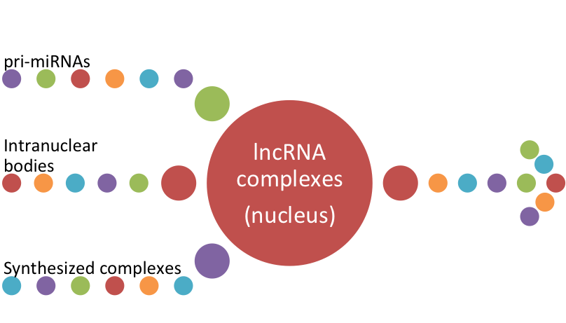 Role of Long Noncoding RNAs in Breast Cancer:  Are New Markers for the Cure?