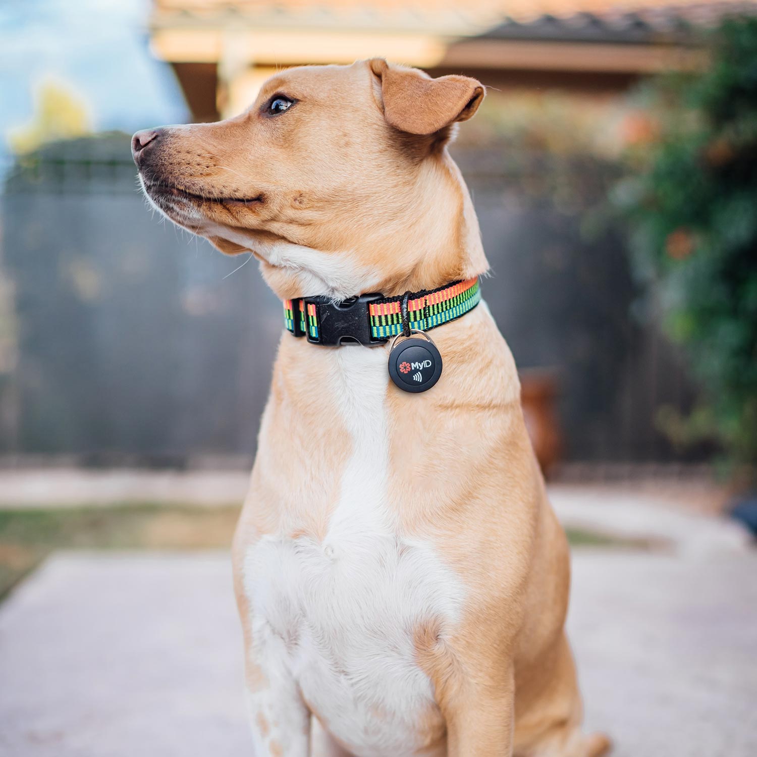 MyID Tag Medical ID – 3 Pack